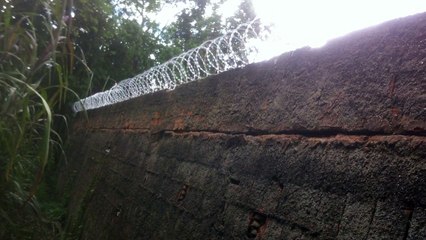 4# Concertina dupla clipada Park way, Brasília, DF 61 4103 2534