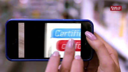Certifié Conforme - L'école primaire, l'école des cancres?