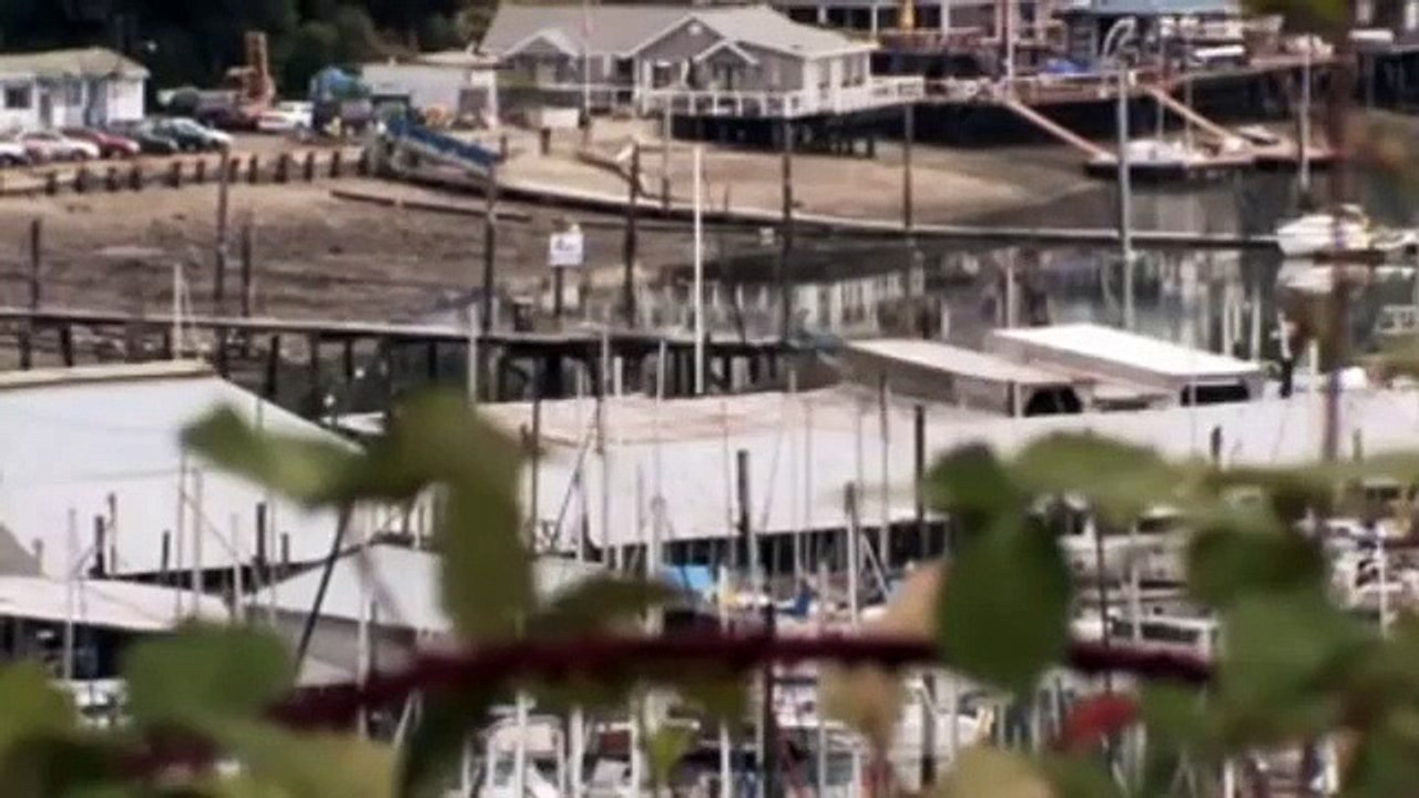 Knockout Born to Fight - ganzer Film auf Deutsch Film auf Deutsch  (Deutsche filme Synchronisiert und Untertitel Online kostenlos anschauen Action Komödie 2016) part 2/2