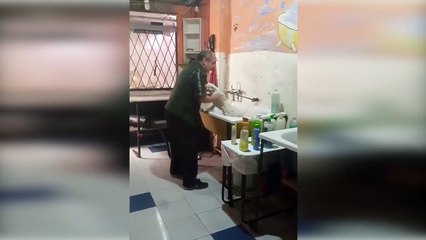 Filmé en train de danser avec un chien, ce toiletteur a fait craquer Internet