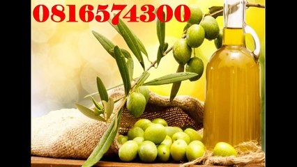 081-657-4300(Indosat) Jual Minyak Zaitun Batang
