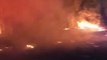 Wildfire Burns Along Hernando County Roadside
