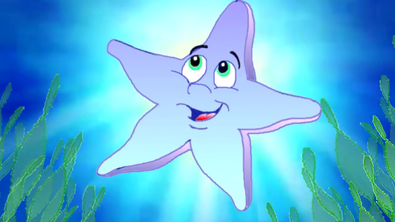 O AMOR É LINDO - UMA ESTRELINHA DO MAR  SE APAIXONOU...
