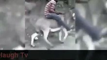 New Most Funny Tre16 _ funny videos 2016 tagalog