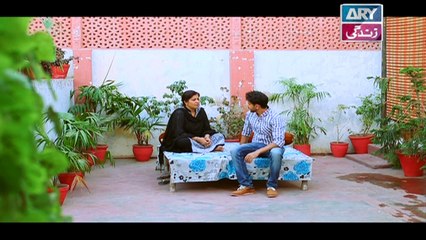 Haya Kay Rang Episode 67 - on Ary Zindagi in High Quality 12th April 2017