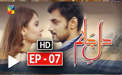 Dil e Jaanam Episode 7 Full HD HUM TV Drama 12 April 2017