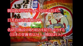 【韓国崩壊】韓国人「全てが日本のものだと知って絶望！」日本の劣化コピー国家は対日コンプレックスの塊だった…