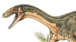 Meet the oldest known relative of dinosaurs