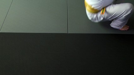 Elite Striking Arts Pro Mat Tatami Usage