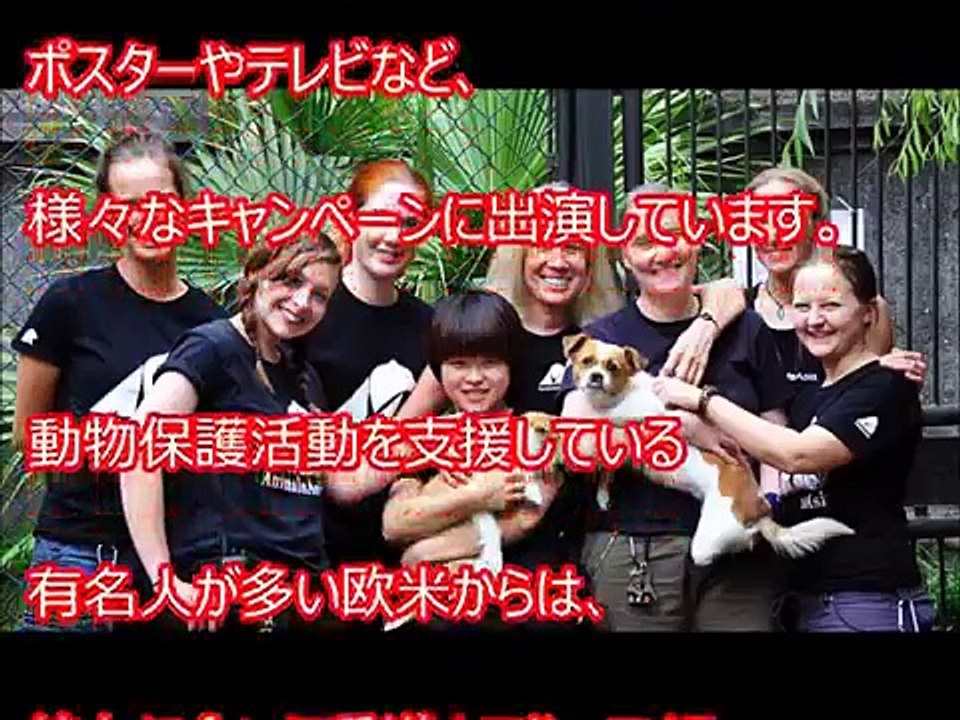 【奇跡】飼い主に捨てられ電車にひかれた犬。心も体もボロボロの彼女が幸せになるまでの半生