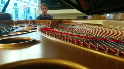 Maurizio Baglini - Schumann: Scherzo (Piano Sonata No.2 in G minor, Op.22)