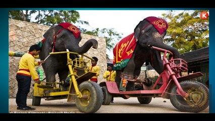 Люди Задумайтесь . Жак Фреско 2017 . Мотивация Жить Лучше .ПРОЕКТ ВЕНЕРА