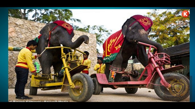 Люди Задумайтесь . Жак Фреско 2017 . Мотивация Жить Лучше .ПРОЕКТ ВЕНЕРА