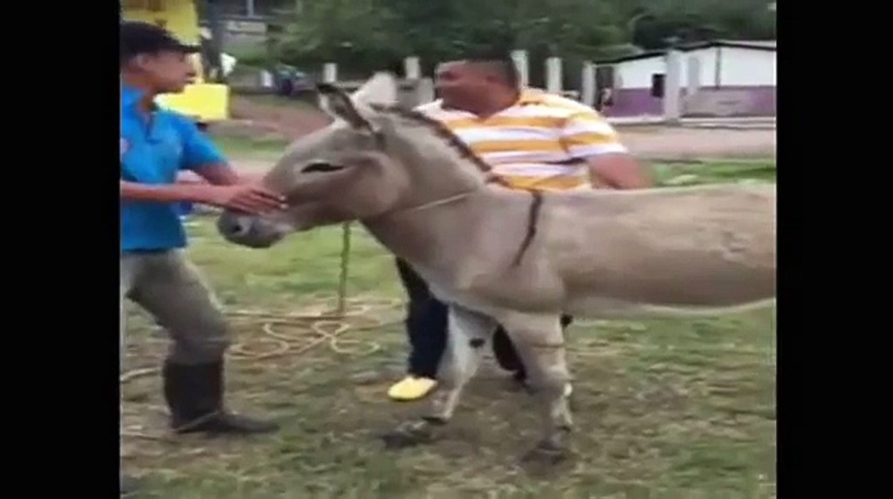 مقطع فيديو مضحك جدا )