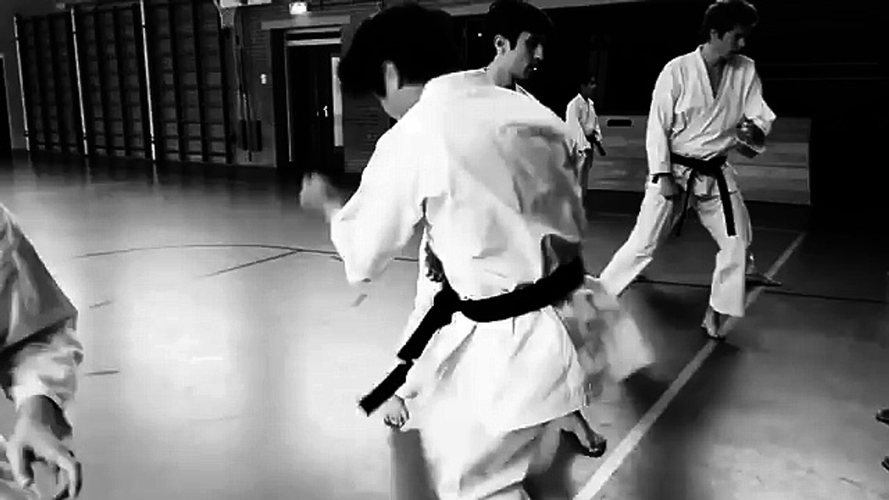 karate kick : Ushiro Geri