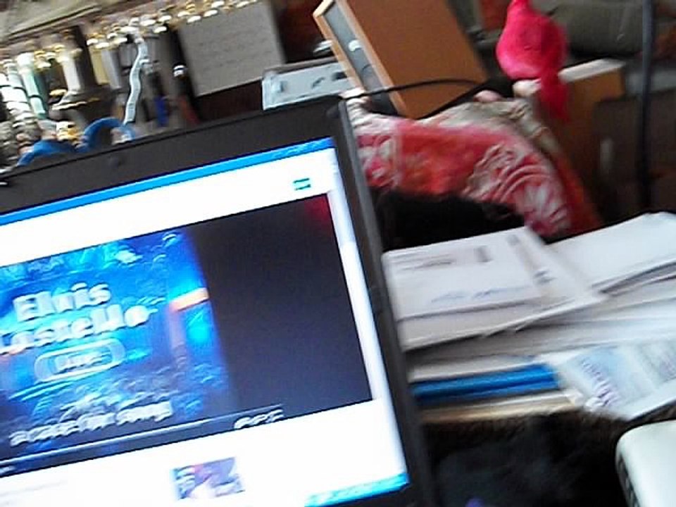 MERCURY RETROGRADE with FREDDIE MERCURY, CAPTAIN BOWIE & ELVIS COSTELLO