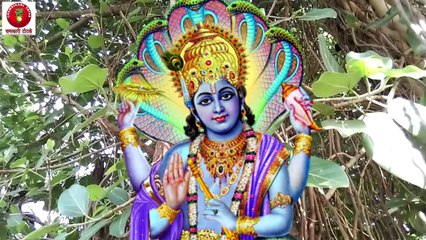 A Coin From Transgender Change your life