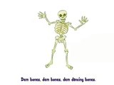 SKELETON BONES SONG - LEARN IN 3 MINUTES!!! - video Dailymotion
