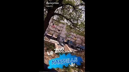 ELAMS 24H AVEC LUI AU COEUR DES QUARTIERS DE MARSEILLES