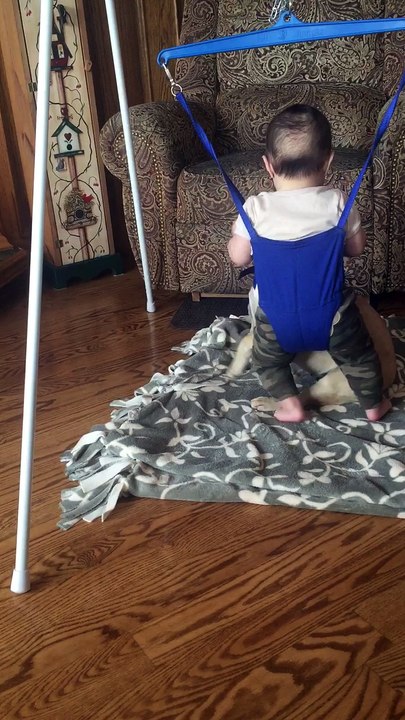 Baby Rides Bulldog
