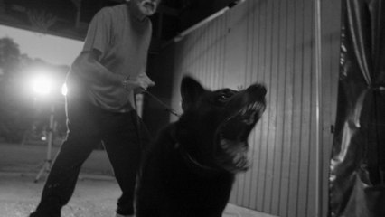 Jake Bugg - There’s A Beast And We All Feed It