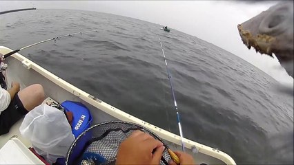 ダイソーエギでタコ釣り 2016 6 19 part 2/2