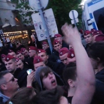 Hungarians Protest Restrictions on Foreign Universities and NGOs