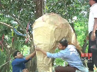 বৈশাখকে স্বাগত জানাতে রাবির চারুকলা বিভাগের প্রস্তুতি শেষ পর্যায়ে