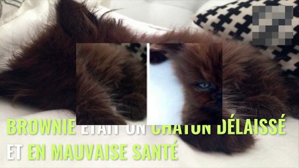 regardez le 1 ans plus tard