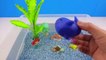 Learn Sea Animal Names, and colors and Counting numbers with Aqua Water Fish Toys Le
