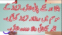 How To Lose Weight Fast-Charbi Kam Karne Ke Liye GhreluTips چربی کم کریں In_Urdu youtube