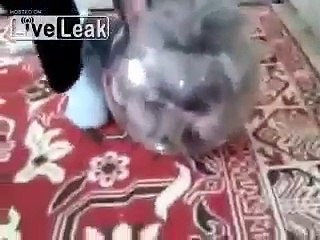 飯田祐巳が気になる丸っとしたかわいいアニマル (10)