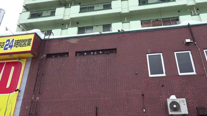 飯田祐巳が気になる丸っとしたかわいいアニマル (14)