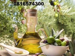 081-657-4300(Indosat) Jual Minyak Zaitun Demak