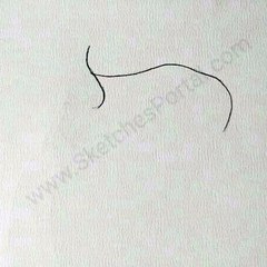 How to Draw a Horse In 13 steps