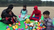 Spiderman grilled chicken with his family on the river bank - Frozen Elsa travel