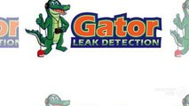 Gator Leak Detection - Certified Pool Leak Detection and Repair Company