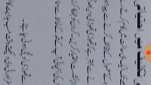 Precautions Of Neck