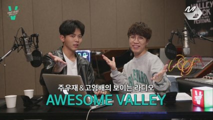 [2017 밸리록] 어썸밸리 2화_미리보는 밸리록 (해외 아티스트 편)