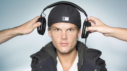 Avicii - Hey Brother (Live At The Hollywood Bowl)