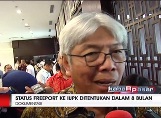 Freeport Diberi Izin Ekspor Konsentrat 8 Bulan