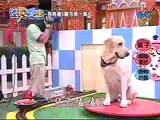 [CFF] 周日八點黨 2007-05-13 案發現場 S.H.E. part 1/2