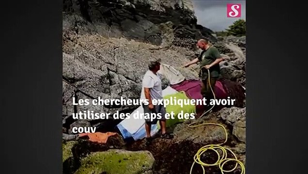 Ils sauvent une orque coincée sur les rochers