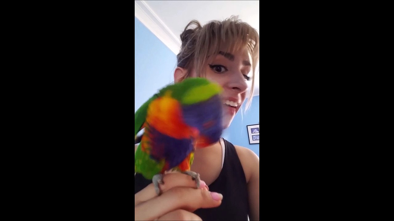 Son perroquet l'imite et c'est trop drole