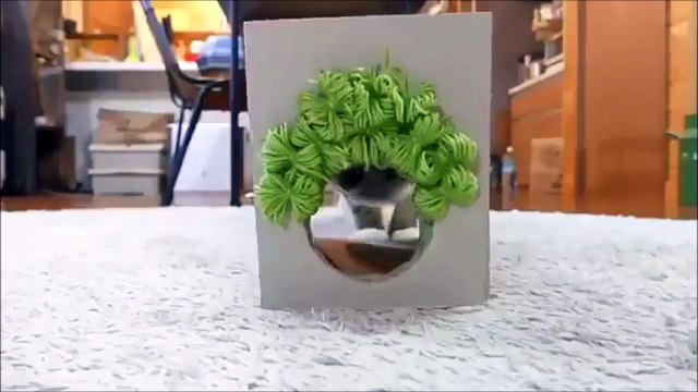 Ce chat va faire votre journée... Trop mignon la coupe de cheveux
