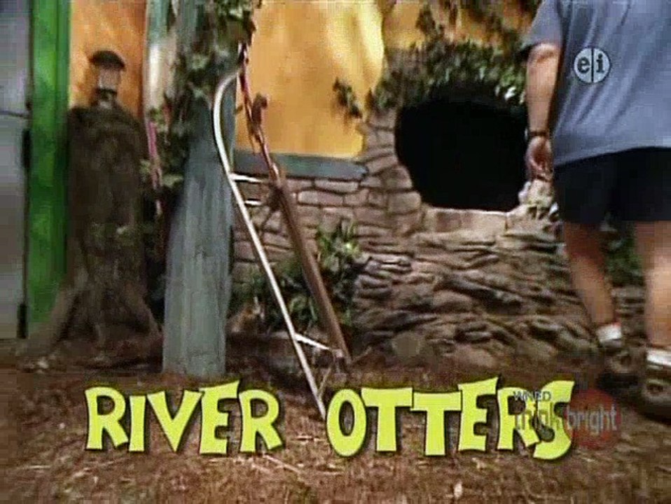 Zoboomafoo Swimming video Dailymotion