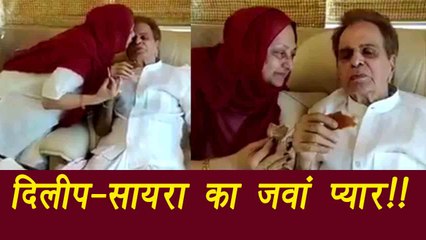 Dilip Kumar and Saira Banu looks ADORABLE in this video; Watch | FilmiBeat