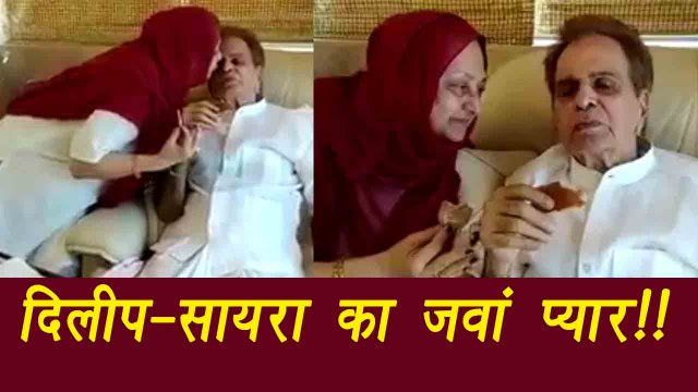 Dilip Kumar and Saira Banu looks ADORABLE in this video; Watch | FilmiBeat