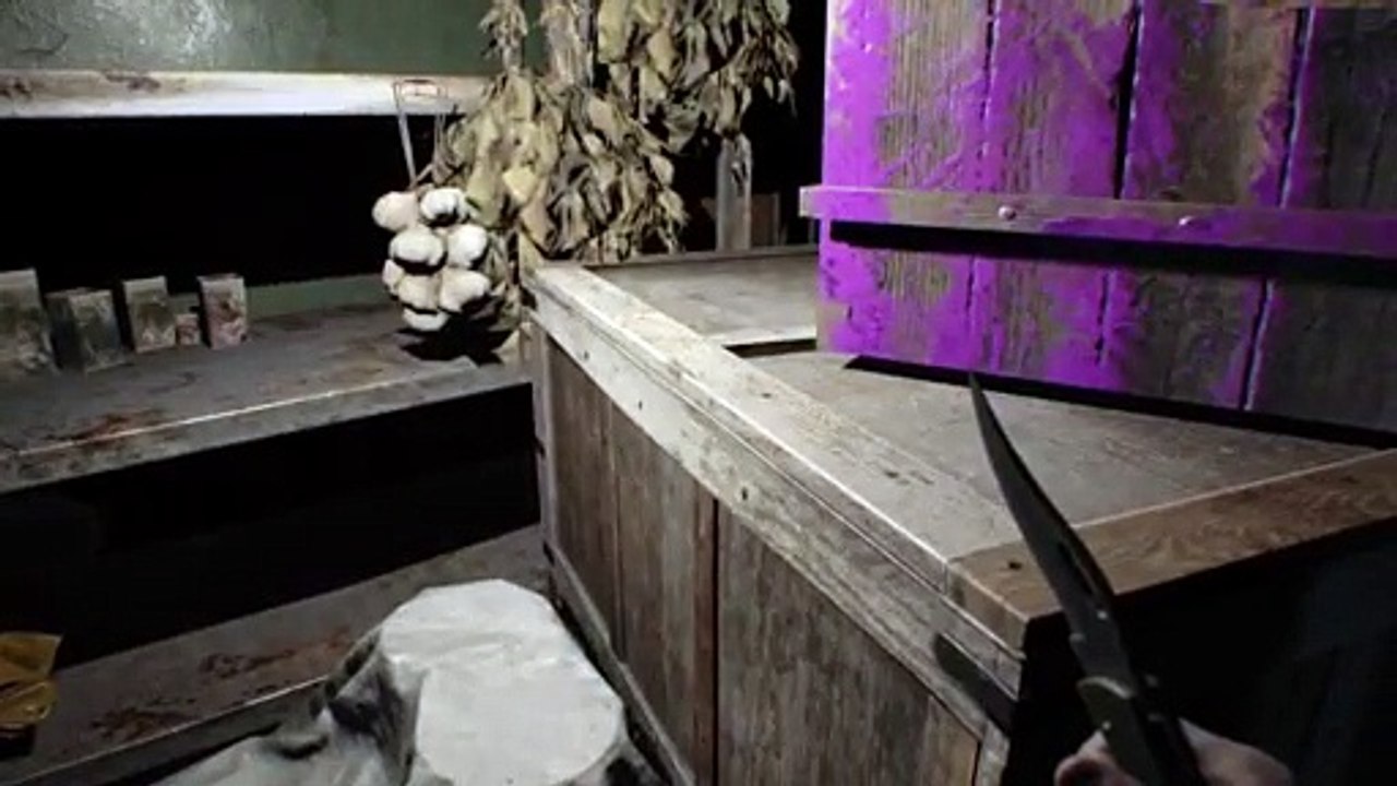 PS4-Live-Übertragung von kovacs88ge (33)