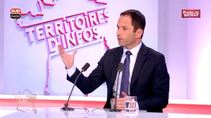 Benoît Hamon était l'invité de Territoires d'infos sur Public Sénat